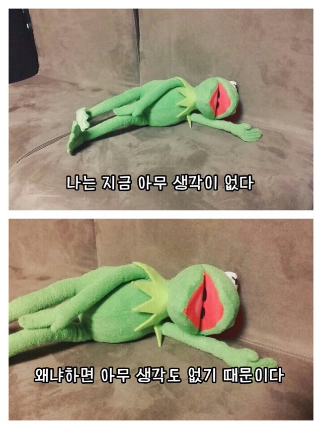 집순이들이 아직은 세상이 살만하다고 느낄 때 | 인스티즈