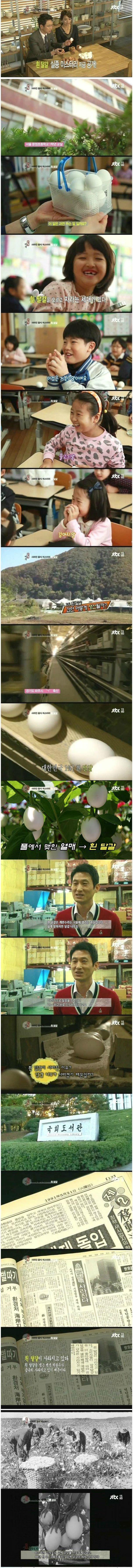 많은 사람들이 합성인줄 알았던 사진 | 인스티즈