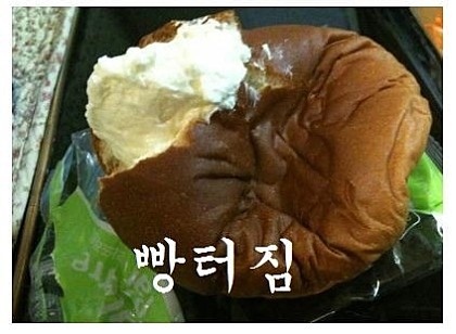 별콩 이미지