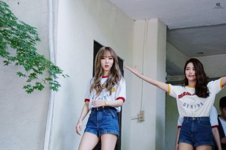 별콩 이미지