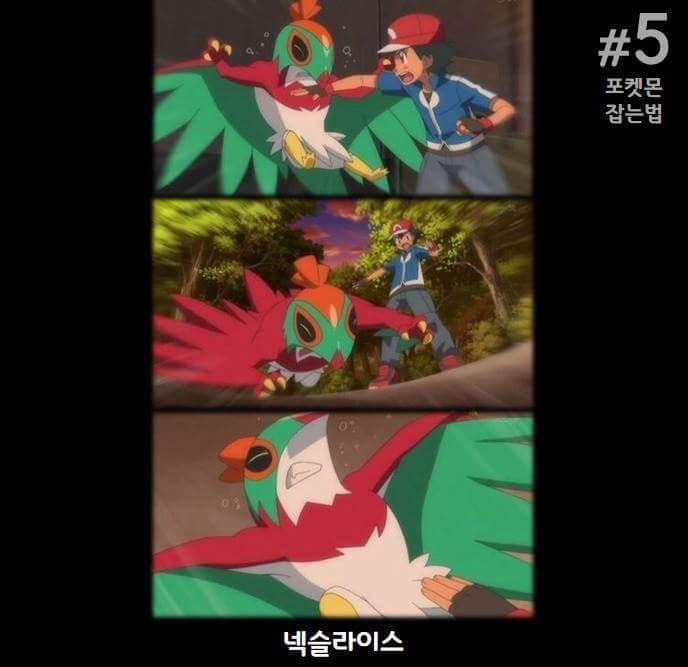 [포켓몬스터] 지우 인성 폐급 | 인스티즈