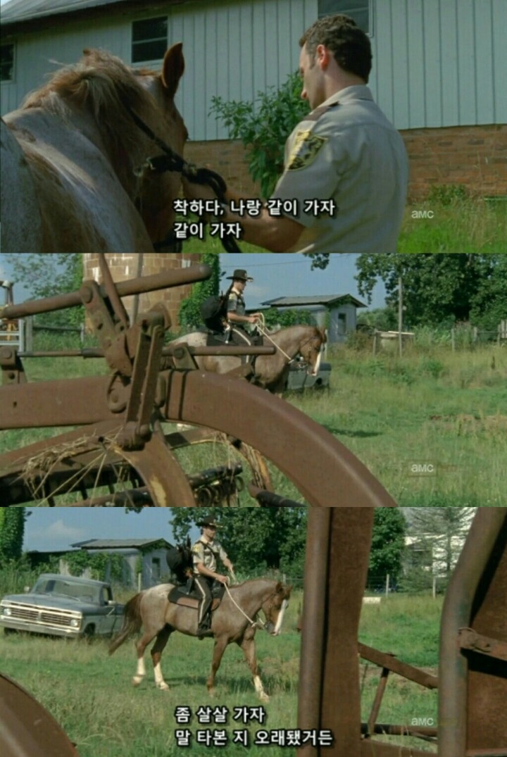 워킹데드 시즌1 1화(7) (혐오주의) | 인스티즈