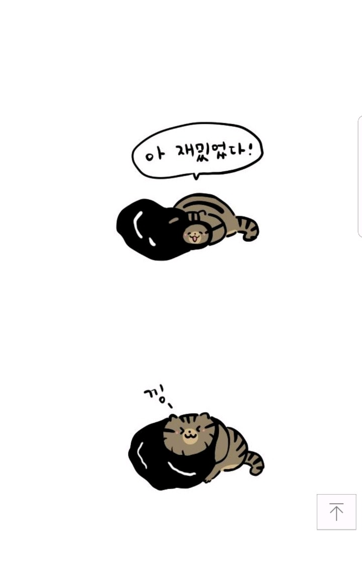 고양이가 자주하는 행동(feat.비닐) | 인스티즈