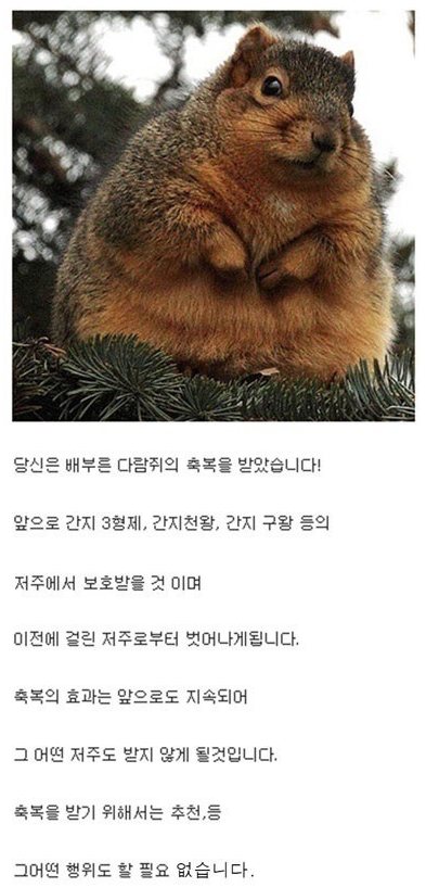 배부른 다람쥐의 축복 | 인스티즈