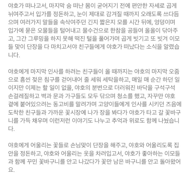 내 고양이의 장례식(슬픔주의) | 인스티즈