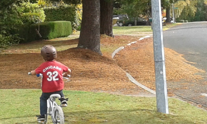 2745E34855CF9D323166B9