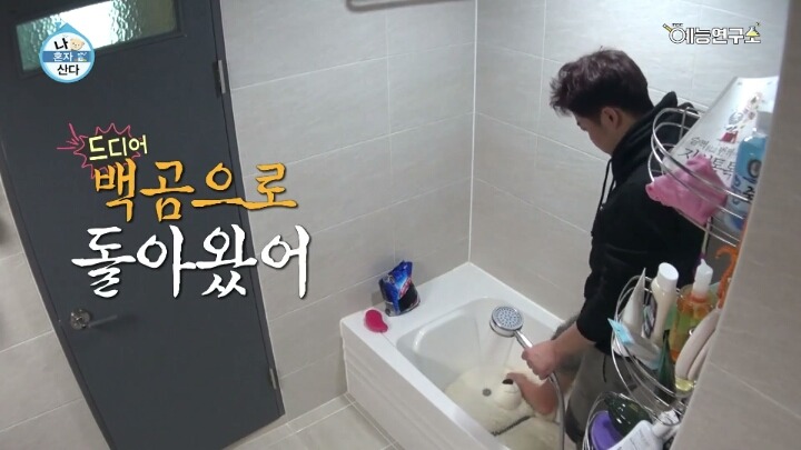 [나혼자산다] 윌슨 씻기는 전현무ㅋㅋㅋㅋㅋㅋㅋㅋㅋㅋㅋㅋ | 인스티즈