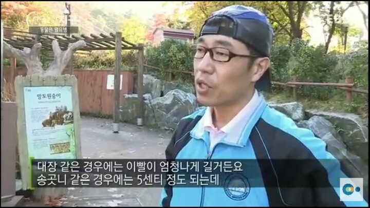 동물원 동물들이 월요병 생기는 이유 | 인스티즈