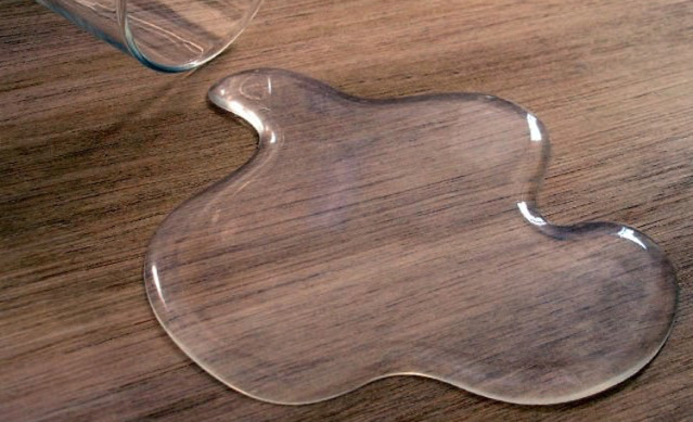 강아지 키우는 사람들 공감하는 것 | 인스티즈