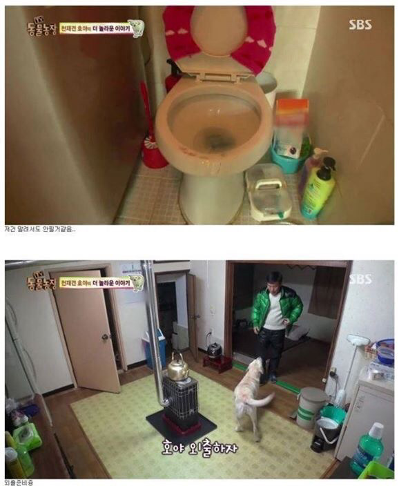 동물농장에 나온 역대급 천재 개ㄷㄷ | 인스티즈