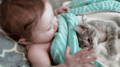 아기와 새끼고양이.gif | 인스티즈
