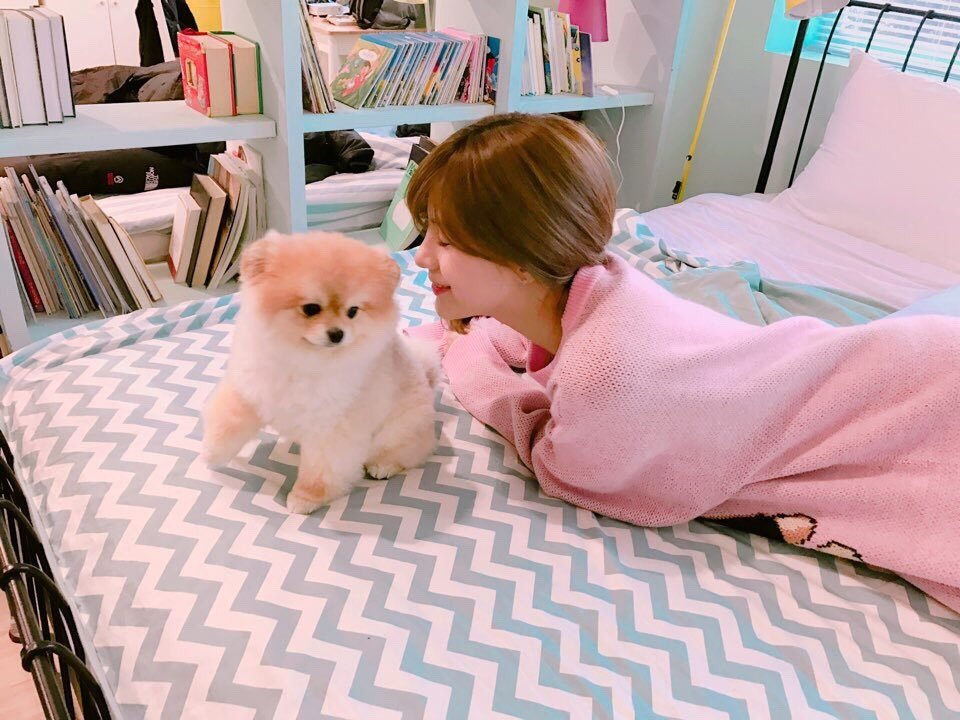 오늘자 오하영과 강아지.jpg | 인스티즈