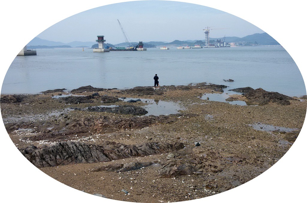 (주)링크 이미지