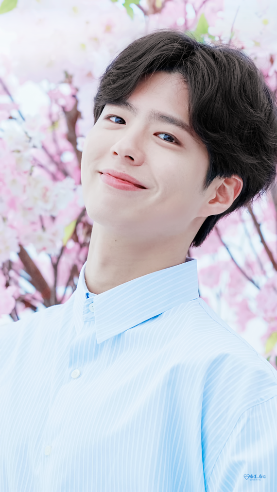 스윗보검vs박력보검 | 인스티즈