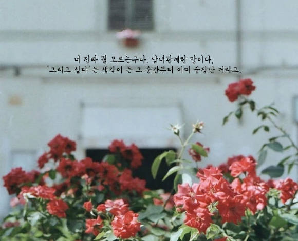  세상에는 나를 아껴주는 사람이 없고 나 역시 아무도 아끼지 않는다 | 인스티즈