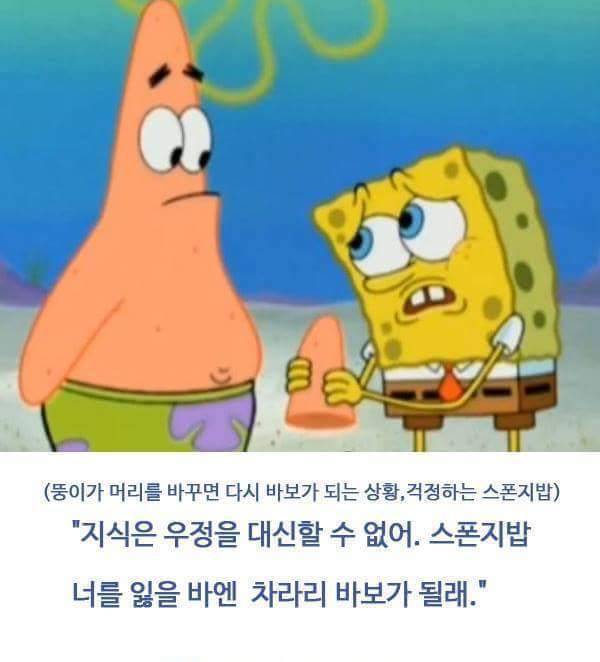 스펀지밥 뚱이 (별가) 명언 레전드 | 인스티즈