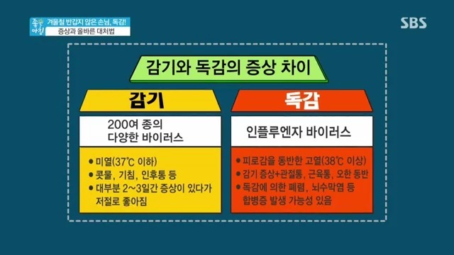 감기와 독감 차이.jpg | 인스티즈