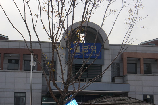 열하루식당 이미지