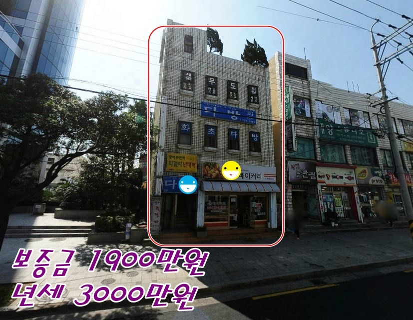 대지 이미지