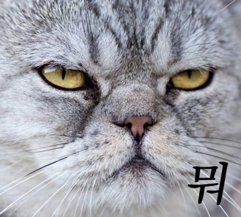 공감 이미지