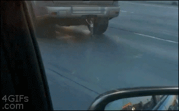 토이스토리 실사판.gif | 인스티즈