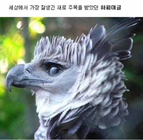 정면 사진 안 찍는 사람 의심해봐야 하는 이유. jpg | 인스티즈