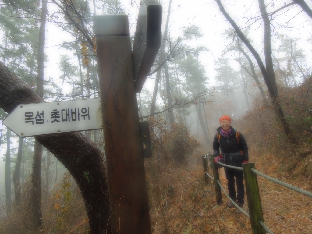 자갈밭과메기 이미지