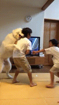 싸우지 좀 말라고.gif | 인스티즈