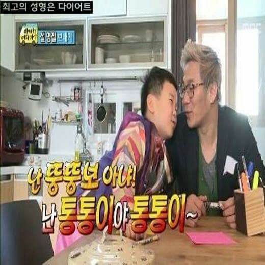뚱뚱이 아니야. 통통이야옹 | 인스티즈