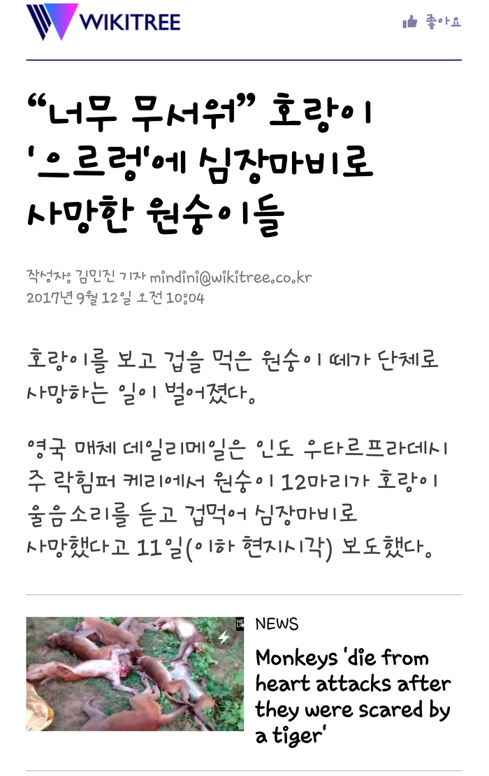 호랑이한테 심쿵사 당한 원숭이들 | 인스티즈
