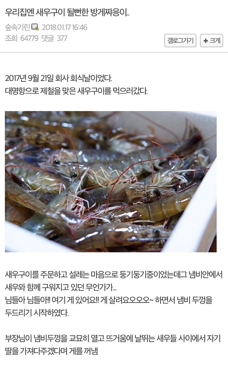 게 키우게 된 디씨인.jpg | 인스티즈