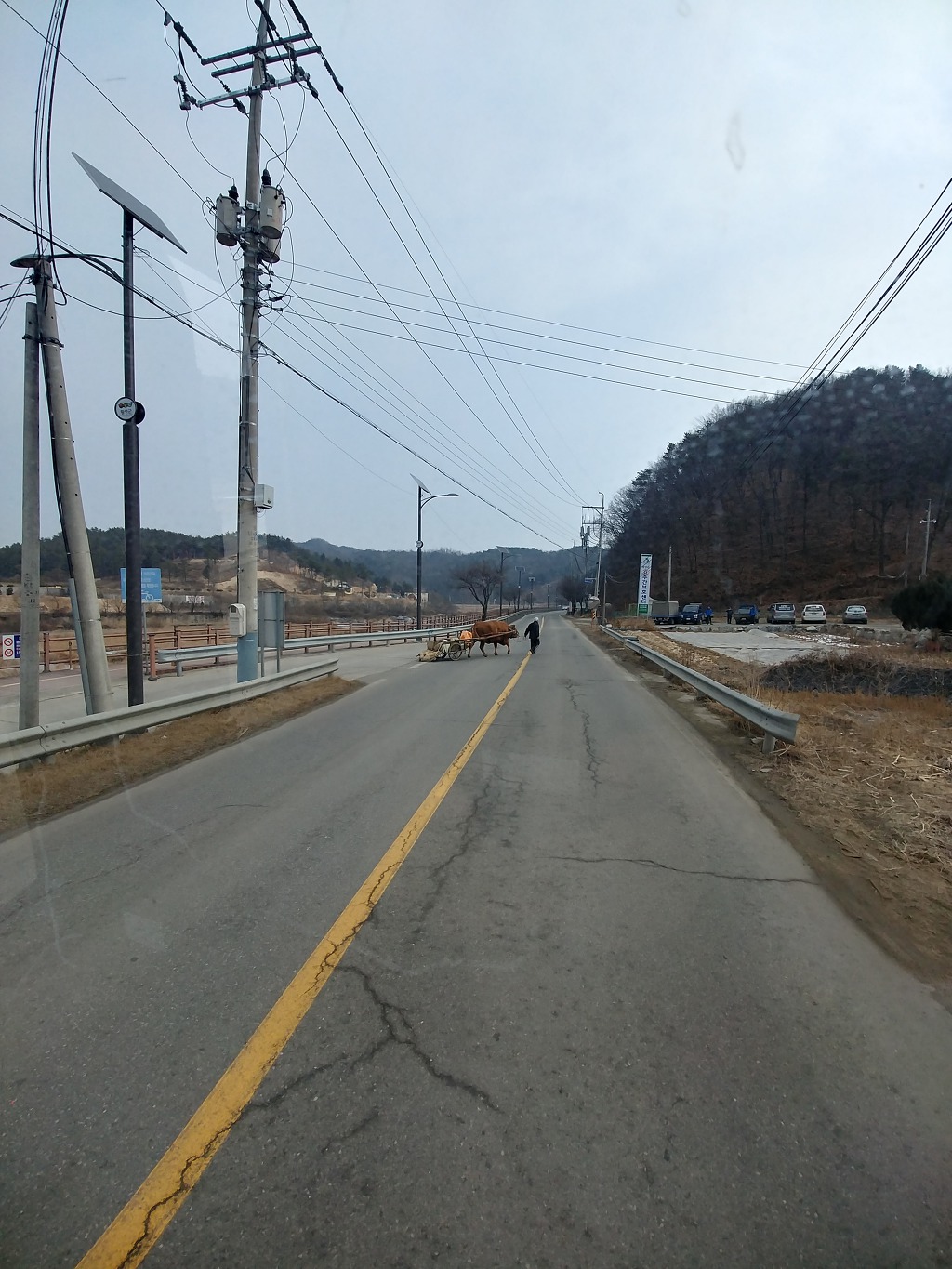 소 달구지 이미지