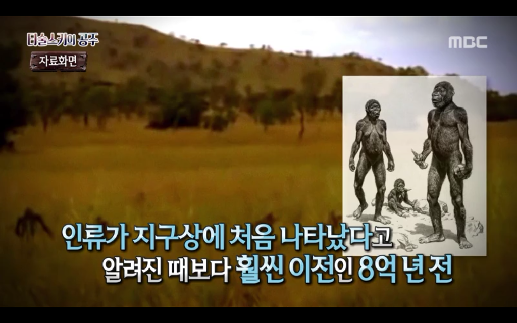 석관 안에서 발견된 8억 년 전의 미라 미스터리, 신비한TV 서프라이즈 '티술스키의 공주' | 인스티즈