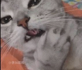 세상 섹시한 유혹..gif | 인스티즈