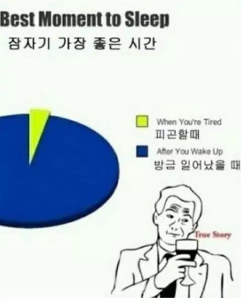 잠자기 좋은시간 | 인스티즈