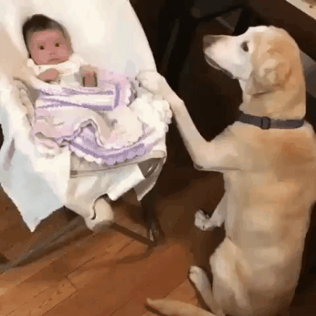 아기돌보는 인절미 | 인스티즈