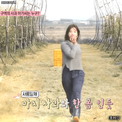 프로미스나인(fromis_9) 22살 라인 3명.jpgif | 인스티즈