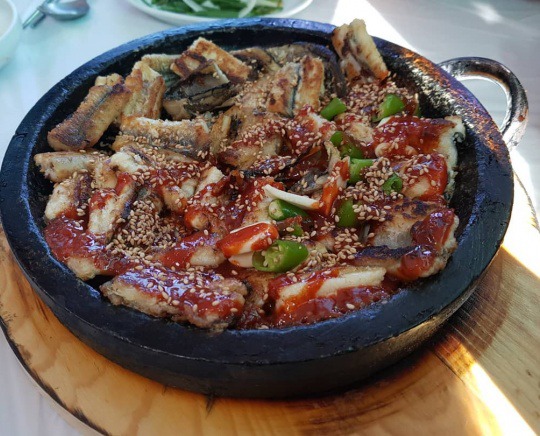 남해바다장어 이미지