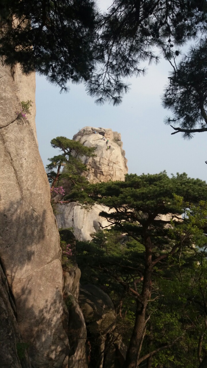 꽃다락 이미지