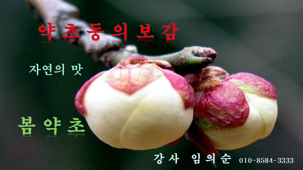 약초이야기 이미지