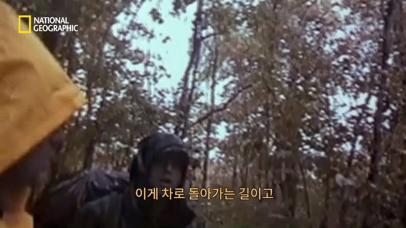 1999년, 새로운 장르의 공포영화가 인터넷을 통해 홍보되다 | 인스티즈