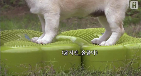 짱절미 덜덜이.gif | 인스티즈