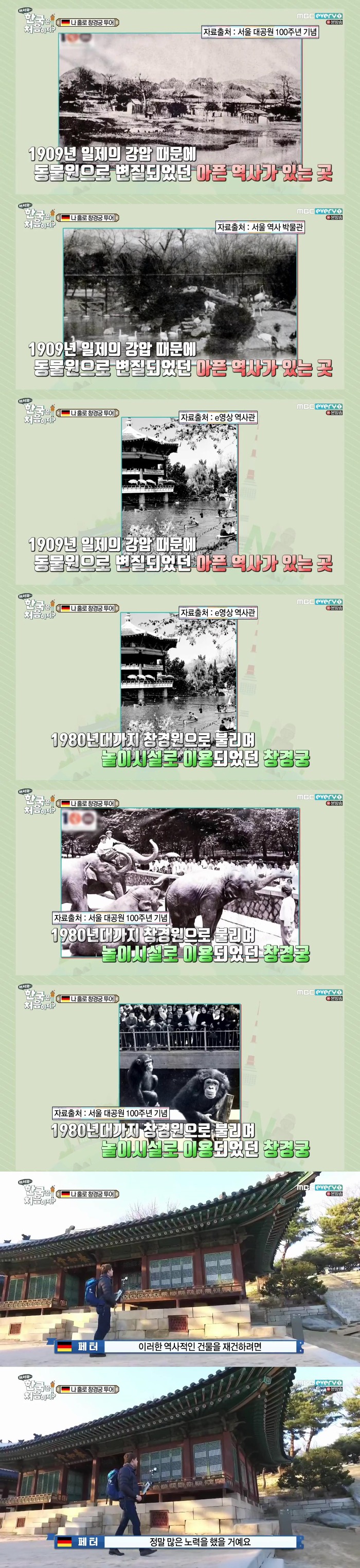 [어서와한국은처음이지] 독일인 페터 "일본 사람들이 그렇게 만든건 한국인을 멸시하려고 그랬을 거에요" | 인스티즈