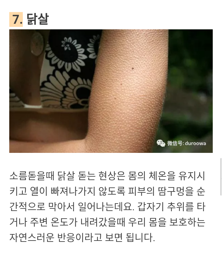 우리 몸의 방어 현상 | 인스티즈