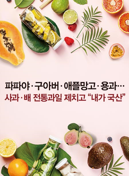 전통과일 이미지