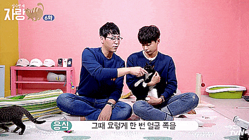 고양이랑 인사하는 법.jpg | 인스티즈