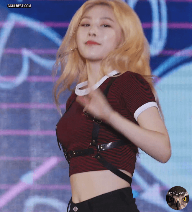 소나무 의진 ㅡㅑ.gif | 인스티즈