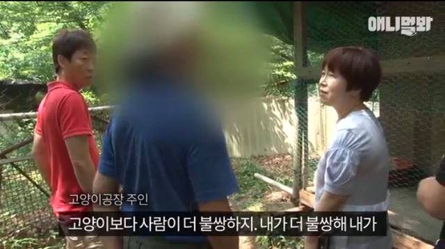 고양이 공장도 없애야됨 | 인스티즈