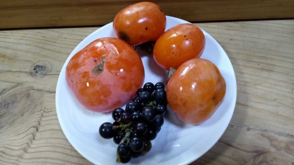 이쁜여우 이미지