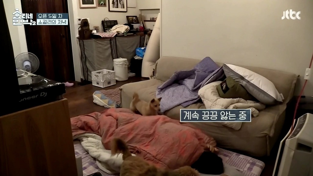 [효리네민박] 이상순 서울출장날 세상 바빴던 직원 윤아의 하루 정리.jpg | 인스티즈